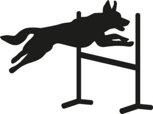 Agility Dog Silhouette